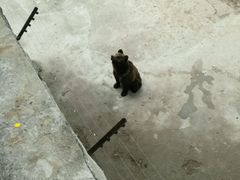 -哈尔滨北方森林动物园