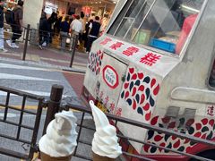 -富豪雪糕车流动点(尖沙咀店)