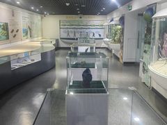 -中国第四纪冰川遗迹陈列馆