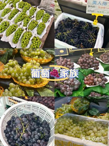 全是葡萄～你认识几个？