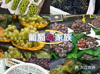 全是葡萄～你认识几个？