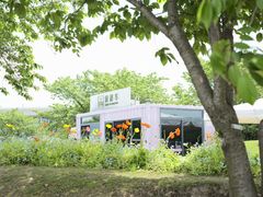 -上海辰山植物园