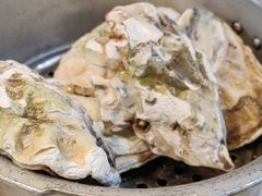 -大孩龙虾(体育场旗舰店)