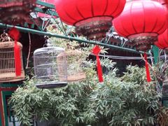-顺承小院儿