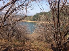 -广州市流溪河国家森林公园
