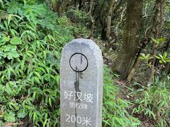 -梧桐山风景名胜区