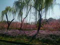 -圩墩遗址公园