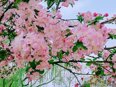 -元大都城垣遗址公园