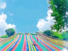 -松山湖南湖湾露营营地