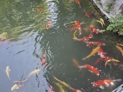 -兴隆文化园景区