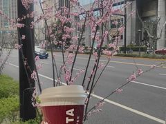 -COSTA COFFEE(上海虹口公园店)