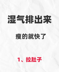 -Fundi张玉珊修身堂·indiba·BTL科技瘦身