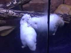 -皇家极地海洋世界-售票处