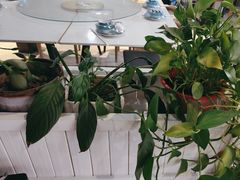-盱眙虾怪·旗舰店