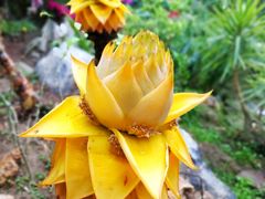 -南通洲际绿博园