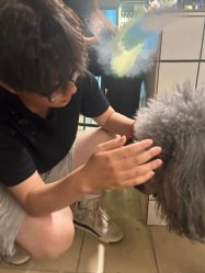-爱维丽