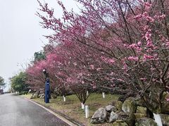 -屈原故里文化旅游区