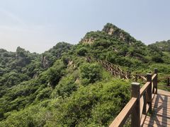 -大岭沟猕猴桃谷风景区