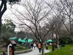 -堤角公园