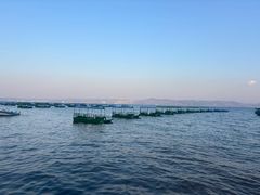 -抚仙湖禄充风景区