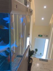 -海涛医疗美容·面部抗衰·注射美鼻