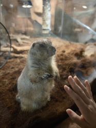 -Zoolung Zoolung动物主题公园(海信广场店)