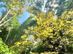 -成都杜甫草堂博物馆