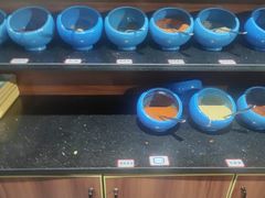 -鹤之乡·齐齐哈尔烤肉·非遗(秋涛路店)