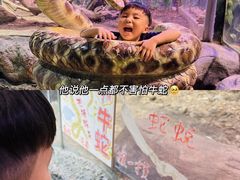 -正佳雨林生态植物园