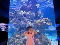 -成都浩海立方海洋公园