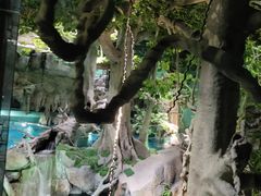-福州罗源湾海洋世界旅游区