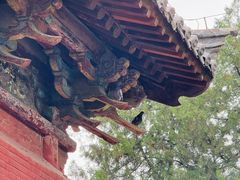 -洛阳白马寺