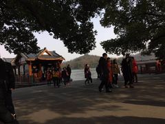 -西湖外事游船(花港观鱼码头)