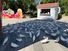 -南宫五洲植物乐园