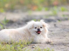 -杭州城北体育公园