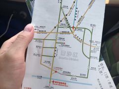 -大湾区中央湿地公园