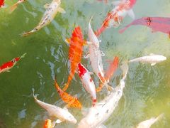 -三里河公园