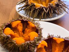 -海胆小馆(东北水饺·春柳店)