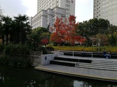 -兰溪青年公园