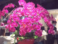 -悦融·京鲁菜·露台花园(安定门店)