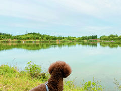 -马家湾湿地公园
