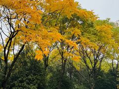 -杭州九堡客运中心