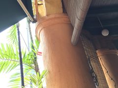 -地理学家咖啡馆