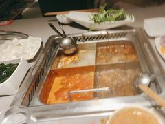 -海底捞火锅(吾悦广场店)