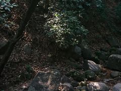 -火炉山森林公园