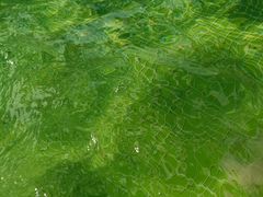 -重庆海昌加勒比海水世界