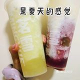 郑州探店|茗雪