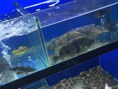 水产区-李东农庄(中南百草园地标店)