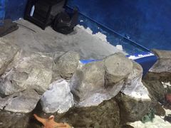 -香港海洋公园
