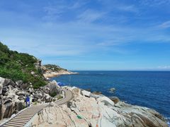 -广东惠东海龟国家级自然保护区